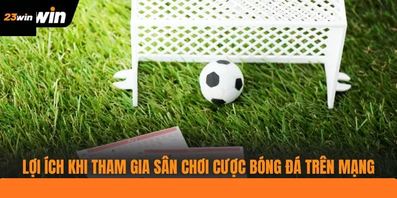 Lợi ích khi tham gia sân chơi cược bóng đá trên mạng