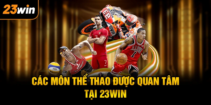 Các môn thể thao được quan tâm tại 23WIN